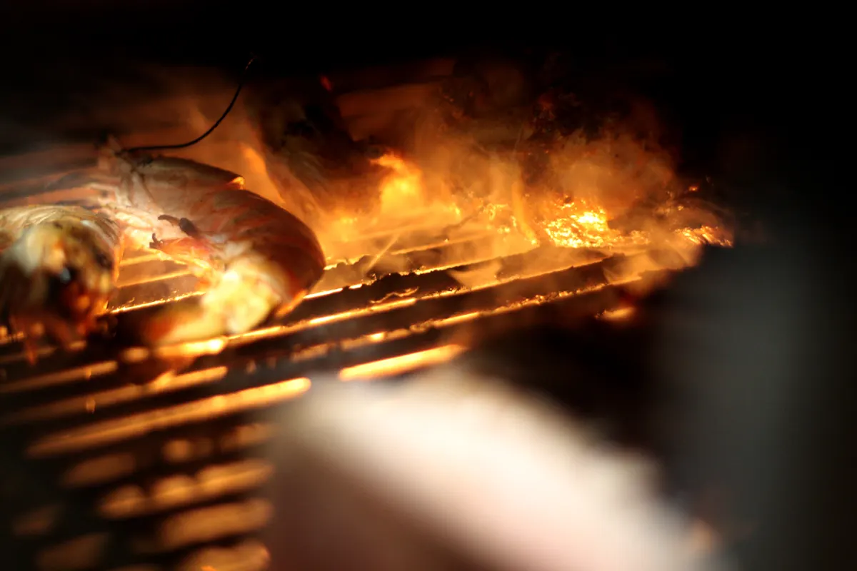 Viande saisie dans les flammes du four Pira